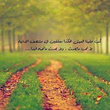 أتمنى أن نجد نهاية نستحقها بعد ك ل ما م ررنا به country roads personal narratives country