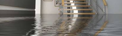 Most of these other types of mold don't. Crawl Space Repair Encapsulation Nj Philadelphia Affordable Waterproofing