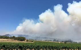 Les flammes ont déjà parcouru. Incendies Dans Le Sud 2500 Vacanciers Evacues Des Centaines D Hectares Brules Le Parisien