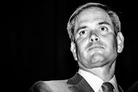 How Marco Rubio plays in Iowa