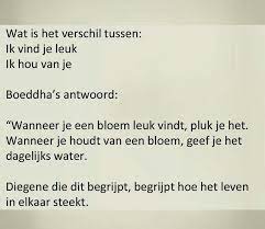 houden van gaat veel verder dan iemand leuk vinden echt houden van gaat over iemand de moeite waard vinden om in t spreuken mooie woorden inspirerende woorden