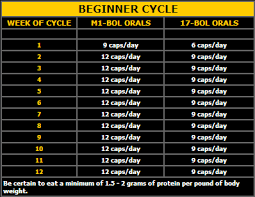 Cycle Chart Steroids Cycles Cycling For Beginners Cycling