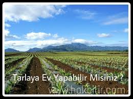 Bunun için öncelikle halının enini ve boyunu net metrekare nasıl bulunur? Tarlaya Ev Yapabilir Misiniz Tarlaya Kac M2 Ev Yapilir Www Hakbilir Com 0505 505 1907