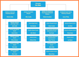 Company Organizational Chart Of Starbucks Guatemalago