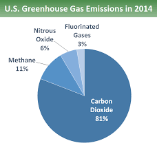 pie chart that shows different types of gases 80 9 percent