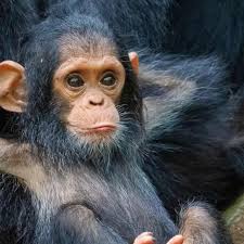 How many hours flight is it from the UK and how far from the Airport to  Hotel 😊😊😊😊