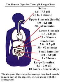 Monitoring Your Bodys Ph Levels Health Ph Chart Ph