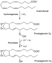 We did not find results for: Prostaglandine Wikipedia