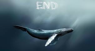 Btk Olum Sacan Mavi Balina Oyunu Icin Uyardi Teknoloji