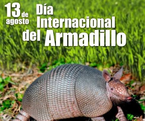 Día internacional del armadillo