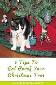Christmas Is Coming 6 Tips To Cat Proof Your Christmas Tree Cat Proof Christmas Tree Cat Proofing Christmas Cats