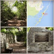 15 reviews of dagny johnson key largo hammock botanical state park this is a throwback to the keys before they were developed. Dagny Johnson Key Largo Hammock Botanical State Park State Parks Florida State Parks Florida Adventures