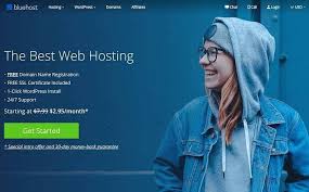 Start Your Website With Bluehost Only 2 95 For Month Free Domain Name For 1 Years Bluehost Bestwebhosting Cheepwebhosting Wordpress Hosting Hosting Company