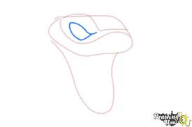 How To Draw A Snake Head Drawingnow Honing your ability to draw faces and heads. how to draw a snake head drawingnow