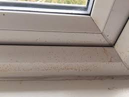 Use a clean rag to then wipe away the mold you loosened. Remove Mold From Windowsill Archives 101cleaningtips Net