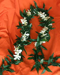 Ti leaf lei twist (maile style) just plain awesome! Maile Style Ti Leaf Lei Wedding And Graduation Leis For Men