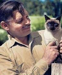 The Fabulous Fifties