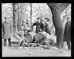 Home-made wines made of dandelions": Prohibition in Maryland – Maryland  Center for History and Culture