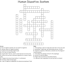 Nutrient group containing meat, eggs and beans.7 5. The Human Digestive System Crossword Wordmint