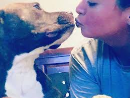 Fundraiser for Erika Alfaro by Lesly Garcia : Donate to Rocky's TPLO  surgery (ACL Surgery)