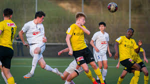 This page contains an complete overview of all already played and fixtured season games and the season tally of the club schaffh. Fcl U 17 Funfter Sieg In Folge Regiofussball Ch