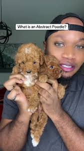 Lashanda Green Paw Prints of Poodles