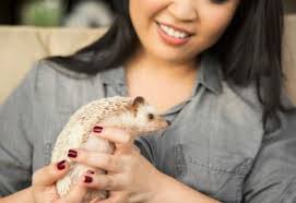 The spruce pets / kevin norris dogs are naturally companion animals, and most enjoy receiving atten. Which Small Animals Like To Cuddle 12 Snuggly Pets Lovetoknow