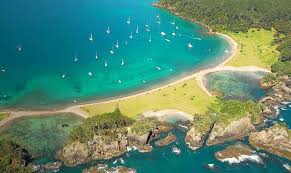 The process took 1 day. House Sitting And Pet Sitting In New Zealand Kiwi House Sitters