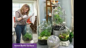 The bolsk hanging glass terrarium are chic contemporary hanging glass planters that boast an open entry point for maximum plant breathability and with usable living space decreasing on a daily basis in this modern world, we are always being asked by customers for cool glass wall vases for flowers. Closed Terrarium Diy Sealed Bottle Gardens Closed Terrarium Plants Shirley Bovshow Youtube