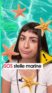 Stelle Marine: Perché Non Dovresti Toccarle Fuori dall'Acqua