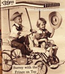 Surrey with the fringe on top. Pin On My Childhood