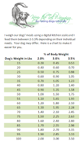 Raw Food Diet For Dogs For Beginners Keep The Tail Wagging