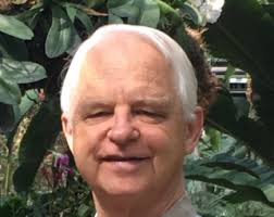 Veterinarian Palm Harbor FL