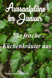 Aussaatplane Im Januar Das Neue Gartenjahr Beginnt Wintergemuse Anbauen Aussaat Kalender Gemusegarten Planer
