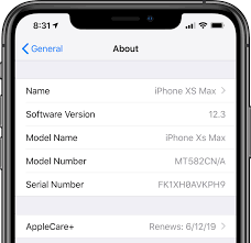 Using The Settings App To Check How Much Time Remains On Your Ios Device's  Warranty Period