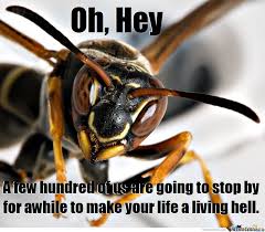 Find the newest hornet nest meme. Waguns Org View Topic Removing Yellowjacket Nest