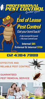 Locally owned and operated carpet cleaning pest control company. Central Coast Pest Control The Entrance Tourism Accommodation Business Directory