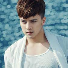 Lt → vietnamese → cao thái sơn (4 songs translated 4 times to 2 languages). Tiá»ƒu Sá»­ Ca SÄ© Cao Thai SÆ¡n