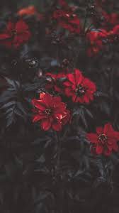 We did not find results for: Red Aesthetic Wallpaper For Chromebook Novocom Top