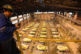 Maybe you would like to learn more about one of these? 51 Karyawan Positif Corona Freeport Tetap Beroperasi Republika Online