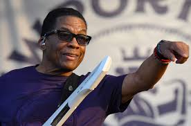 Newport Jazz Festival, 2019. 📷: Andrew Bruss