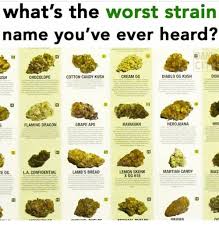 Maybe you would like to learn more about one of these? What S The Worst Strain Name Vou Ve Ever Heard Cl Ush Chocolope Cotton Candy Kush Cream 0g Diablo Og Kush Don Flaming Dragon Grape Ape Hawaiian Herojuana Hin Lemon Skunk X Og 18