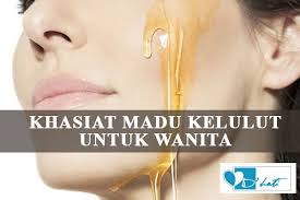 Madu kelulut mempunyai banyak khasiat untuk sama seperti lebah madu, kelulut juga menghasilkan madu dan propolis yang kaya dengan khasiat. Addin Khasiat Madu Kelulut Untuk Wanita