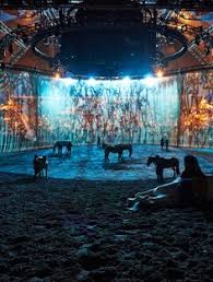 9 Best Cavalia Images In 2012 Horses Show Horses