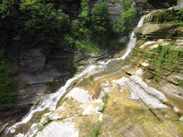 In 1938 governor herbert lehman renamed enfield glen reservation as the robert h. Robert H Treman State Park Wikipedia
