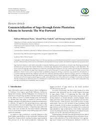 The immigration processes for west malaysia, sabah, sarawak and the federal territory of labuan are all separate and distinct from one another, each with its in order to work in sarawak, sabahans would require an employment pass issued by the sarawak authorities, and similarly, sarawakians. Pdf Commercialization Of Sago Through Estate Plantation Scheme In Sarawak The Way Forward