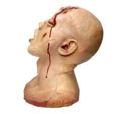 Oscar Head's Instagram, Twitter & Facebook