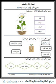 أوراق عمل في العلوم والحياة للصف الثالث الفصل الأول 2019 المكتبة الفلسطينية الشاملة