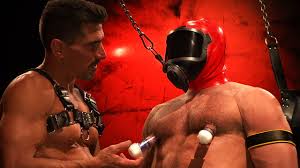 David Anthony & Shay Michaels