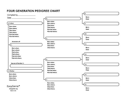 Easygenie Large Print Genealogy Charts And Forms Kit 30 Sheets Includes 10 Pedigree Charts 10 Fan Charts And 10 Family Group Sheets